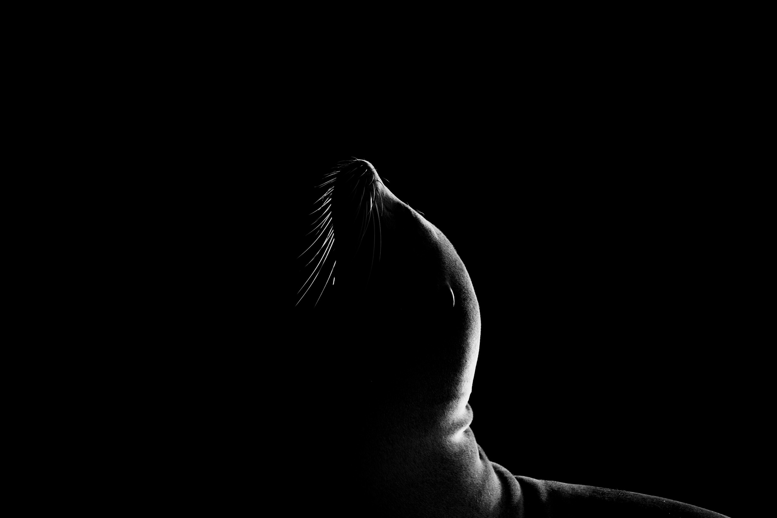 Travel & Editorial — photograph 91