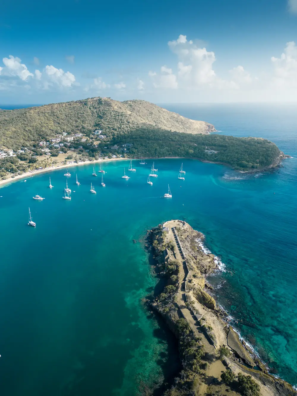 Caribbean — photograph 3