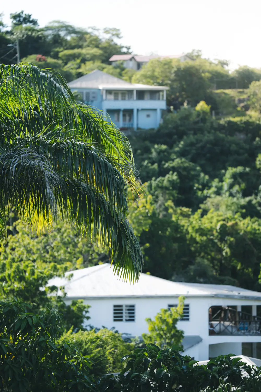 Caribbean — photograph 5