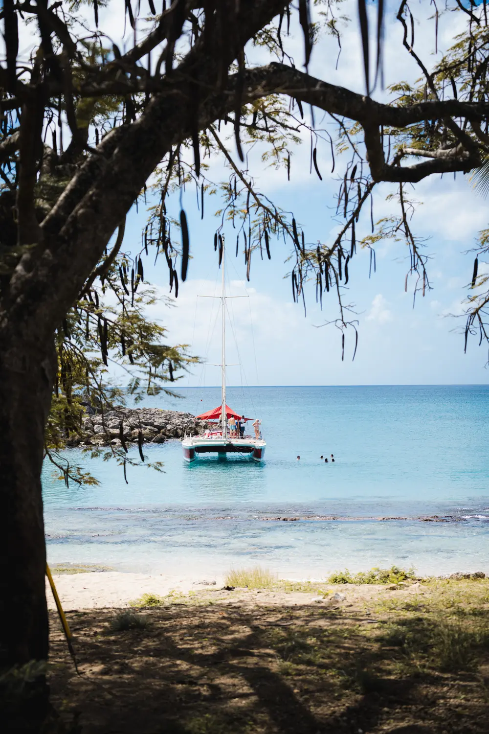 Caribbean — photograph 14