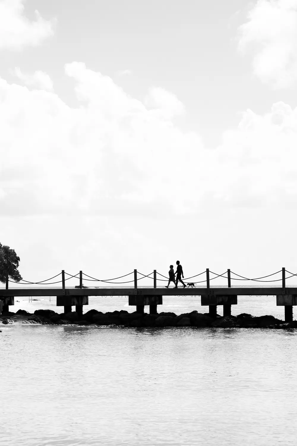 Caribbean — photograph 15
