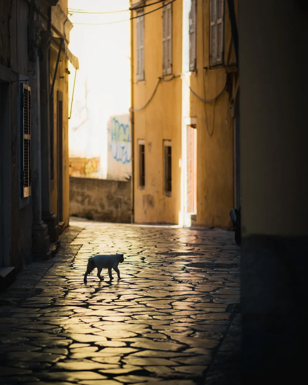 Corfu — photograph 17