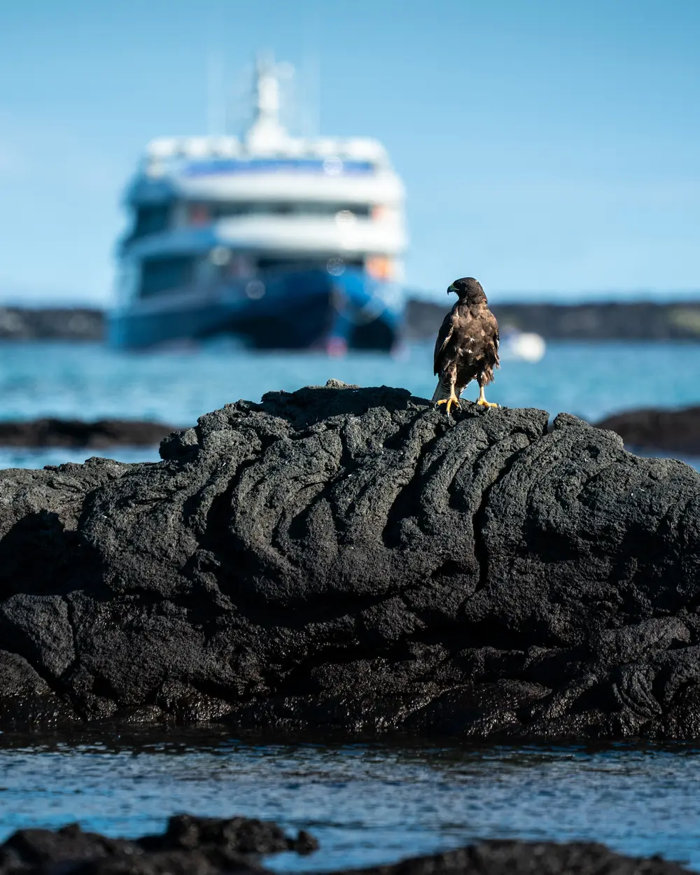 Galápagos — photograph 9