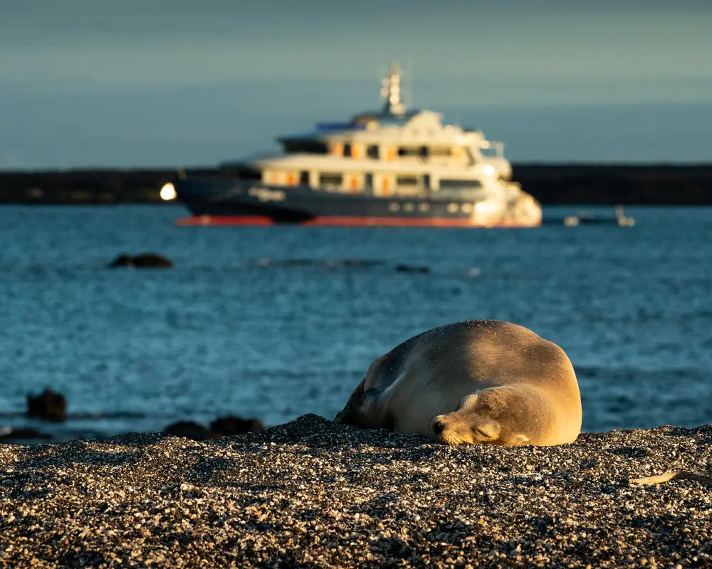 Galápagos — photograph 11