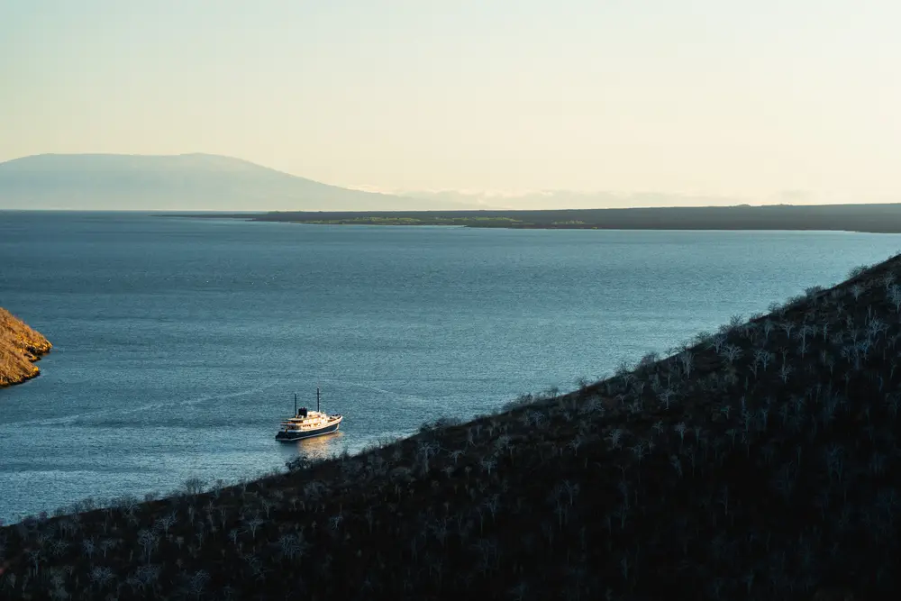 Galápagos — photograph 14