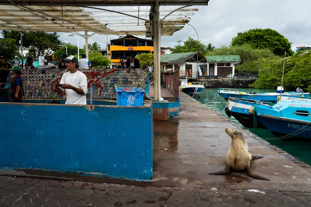 Galápagos — photograph 23