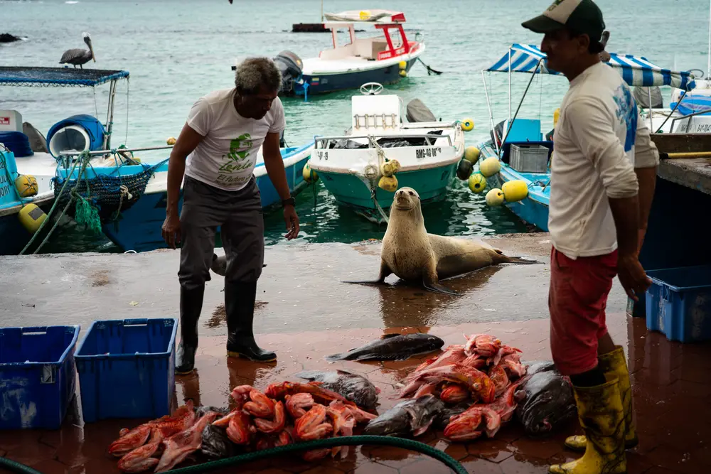 Galápagos — photograph 26