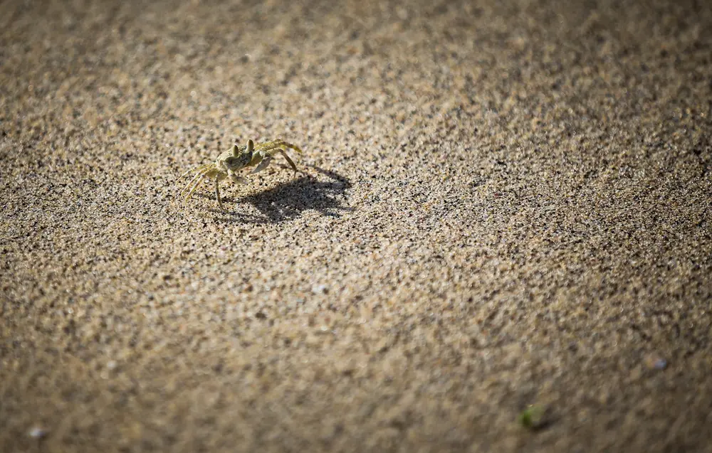 Mozambique — photograph 2