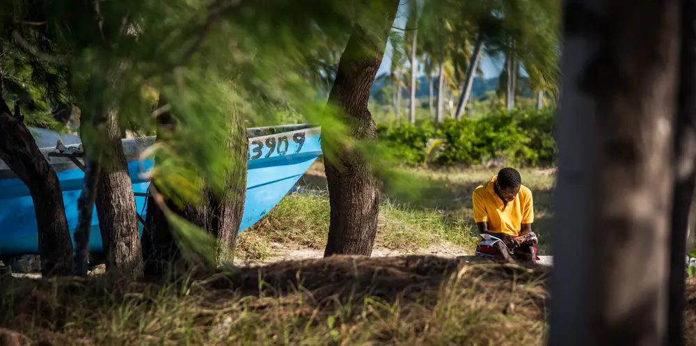 Mozambique — photograph 8