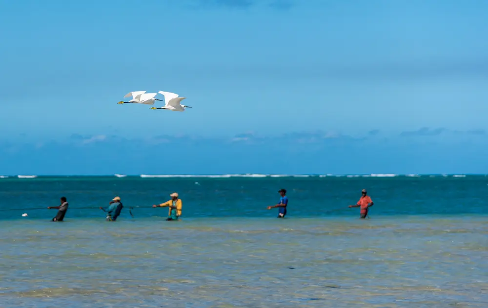 Mozambique — photograph 23